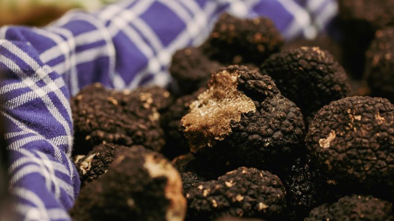 Truffes de Dordogne (24)